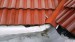 2016-03-17-4360